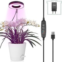 Opciones efectivas como alternativas a las luces de cultivo para interior