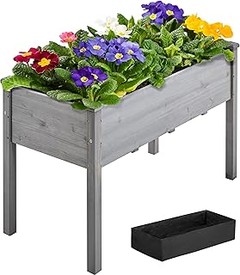 Ventajas del Cultivo Orgánico en tu Huerto Urbano
