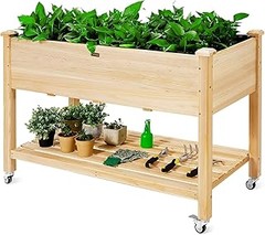 ¿Dónde comprar mesas de cultivo para tus plantas?