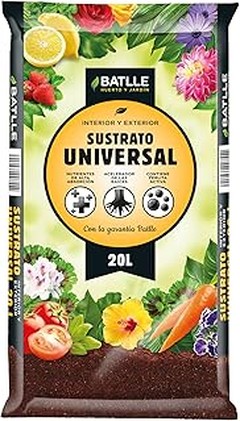 Cómo el pH del sustrato afecta la salud de tus plantas urbanas