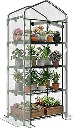 Consejos para elegir las plantas adecuadas en tu invernadero de terraza