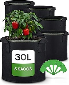 Mitos comunes sobre las macetas para huertos urbanos