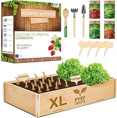 Guía para personalizar tu kit de huerto urbano según tus necesidades