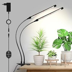 Descubre las últimas tendencias en luces de cultivo para interior