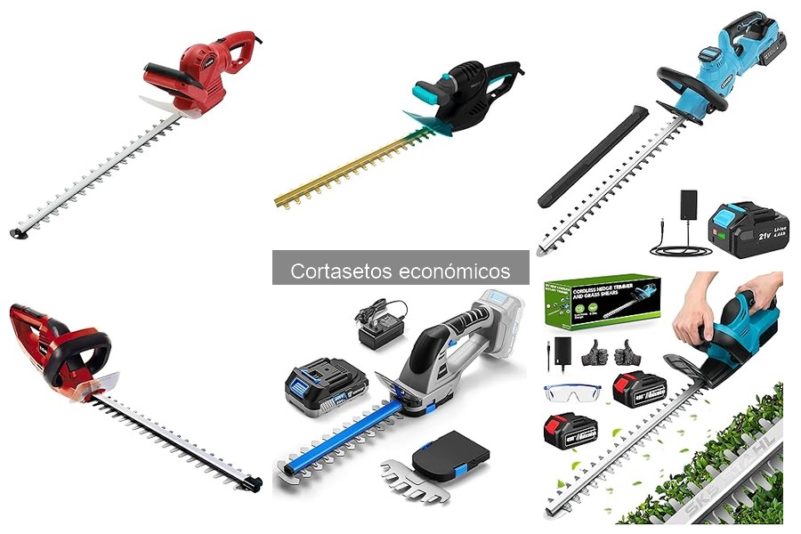 Alternativas a cortasetos económicos para mejores resultados