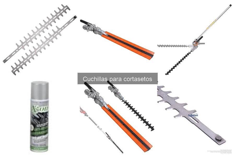 Alternativas a cuchillas para cortasetos: ¿qué elegir?