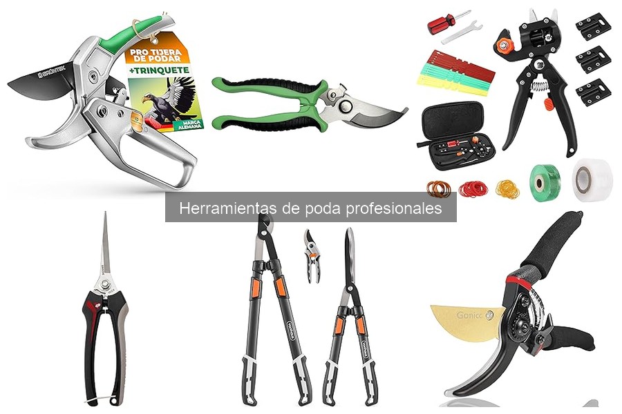 Alternativas a herramientas de poda para usuarios ocasionales