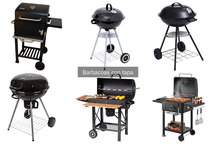 Alternativas a las Barbacoas con Tapa: Mejores Opciones
