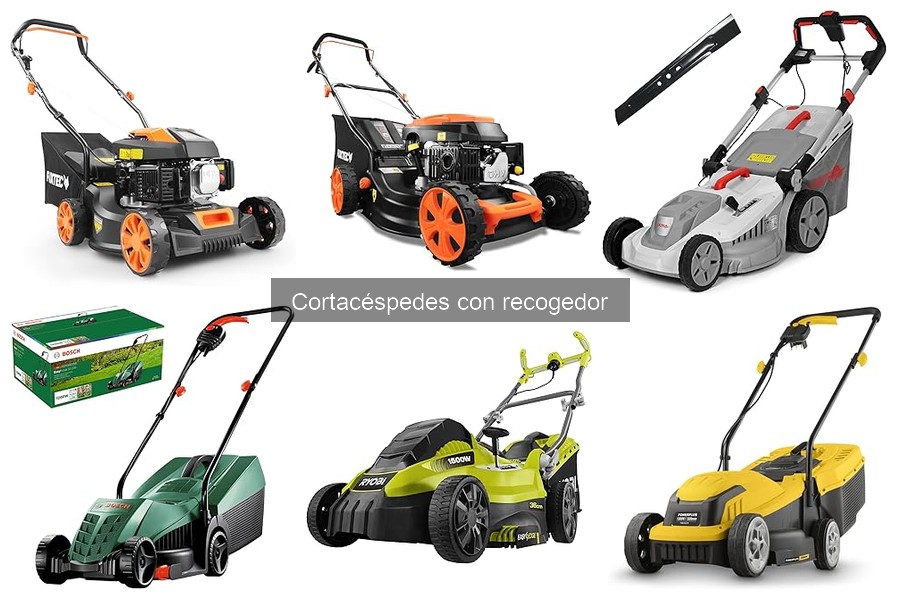Alternativas a los cortacéspedes con recogedor para tu jardín