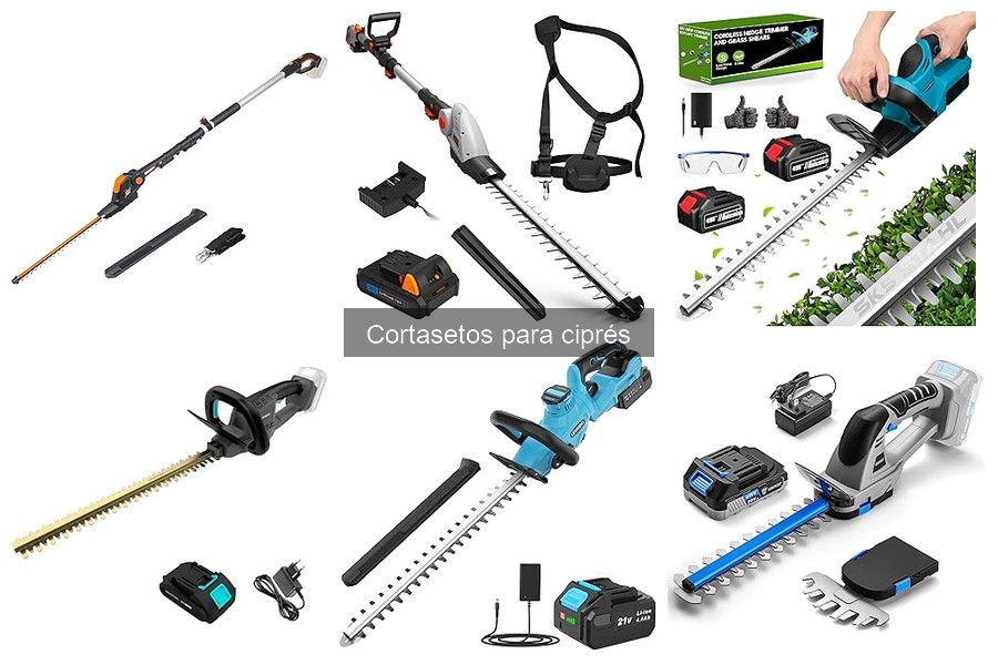 Alternativas a los cortasetos para cipreses: opciones efectivas