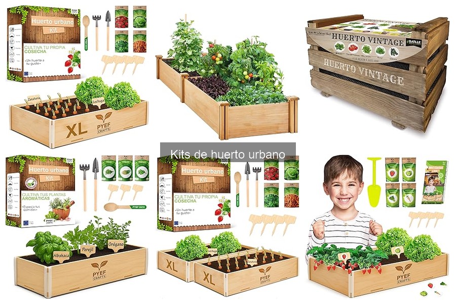 Alternativas a los Kits de Huerto Urbano: Cultivo Personalizado