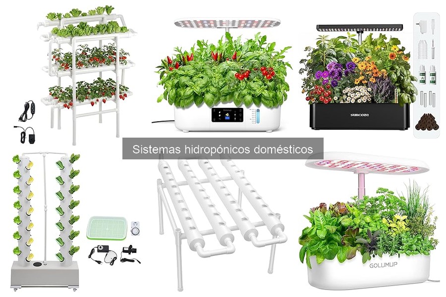 Alternativas a los sistemas hidropónicos: opciones efectivas