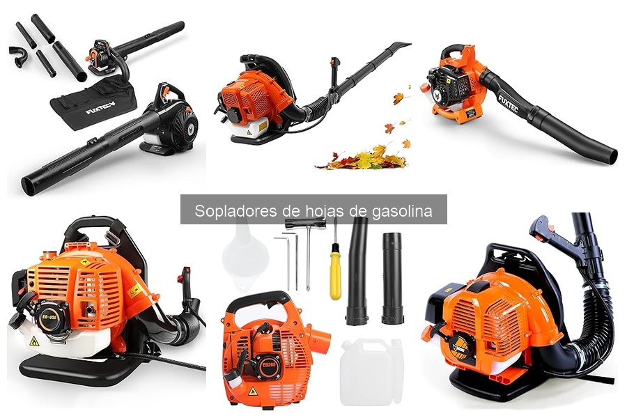 Alternativas a Sopladores de Hojas de Gasolina: Mejores Opciones