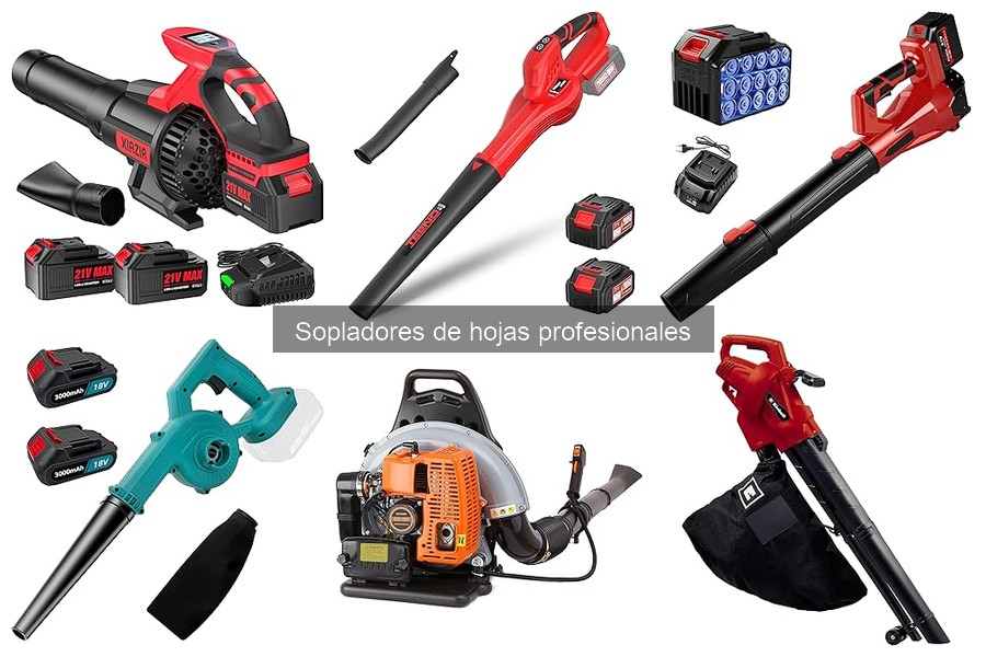 Alternativas a Sopladores de Hojas Profesionales para Jardín
