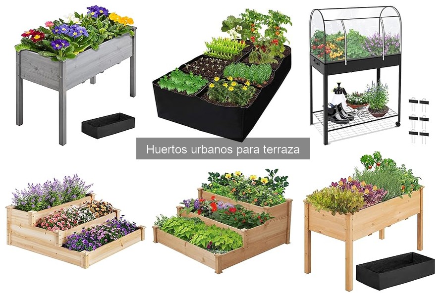 Alternativas a un Huerto Urbano en Terraza: Opciones Innovadoras