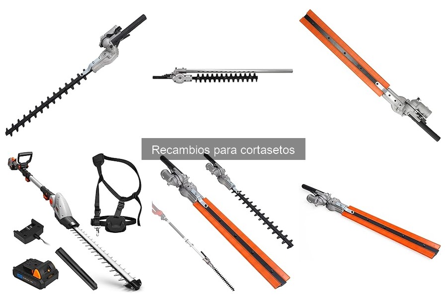 Alternativas económicas a recambios para cortasetos