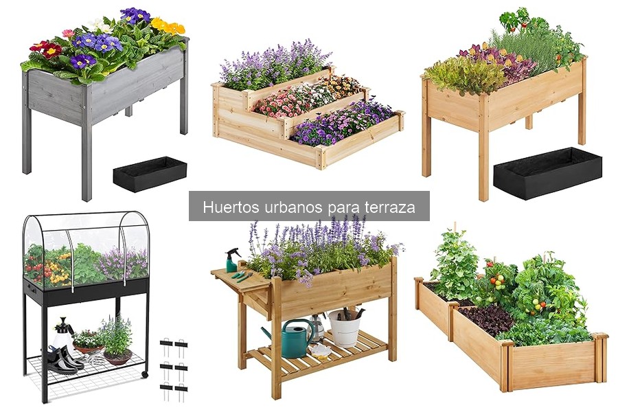 Beneficios del Cultivo Orgánico en Huertos Urbanos