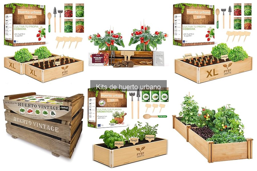 Beneficios del Kit de Huerto Urbano para tu Jardín