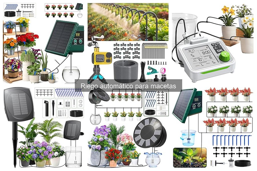 Beneficios del riego automático para plantas de interior