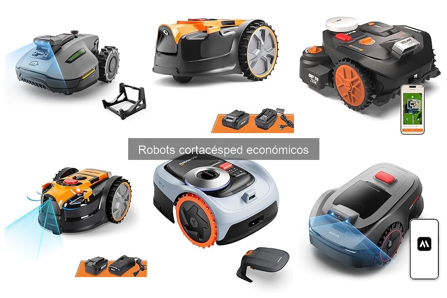 Características clave para elegir un robot cortacésped económico
