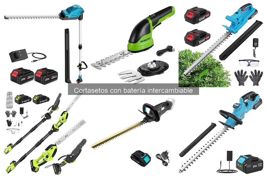 Características de un buen cortasetos con batería intercambiable