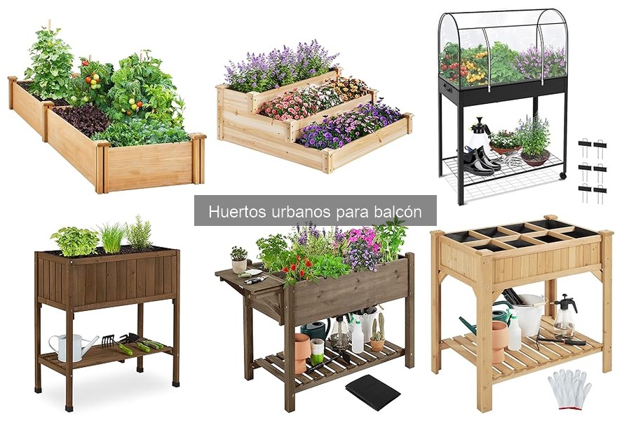 Cómo combatir plagas en tu huerto urbano de balcón