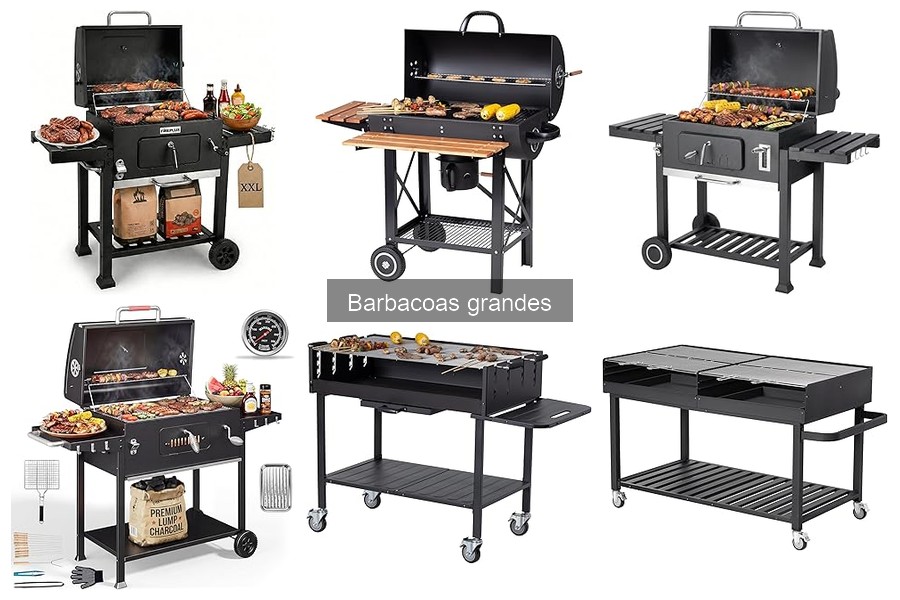 Cómo elegir el mejor combustible para tu barbacoa grande
