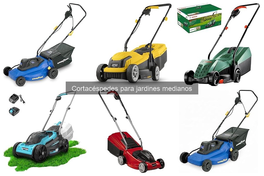 Cómo elegir el mejor cortacésped para tu césped
