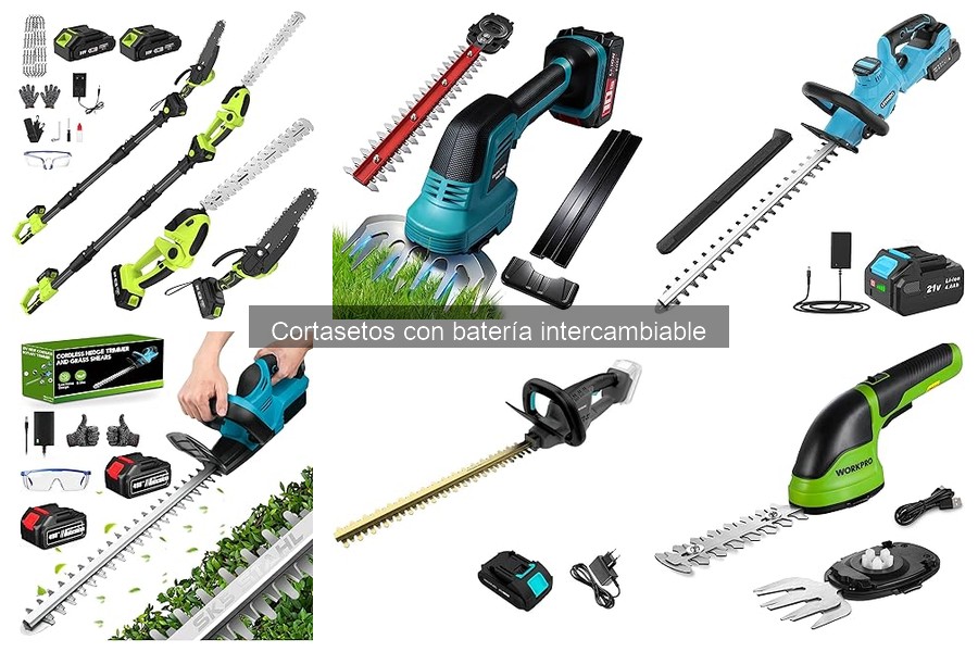 Cómo elegir el mejor cortasetos con batería intercambiable