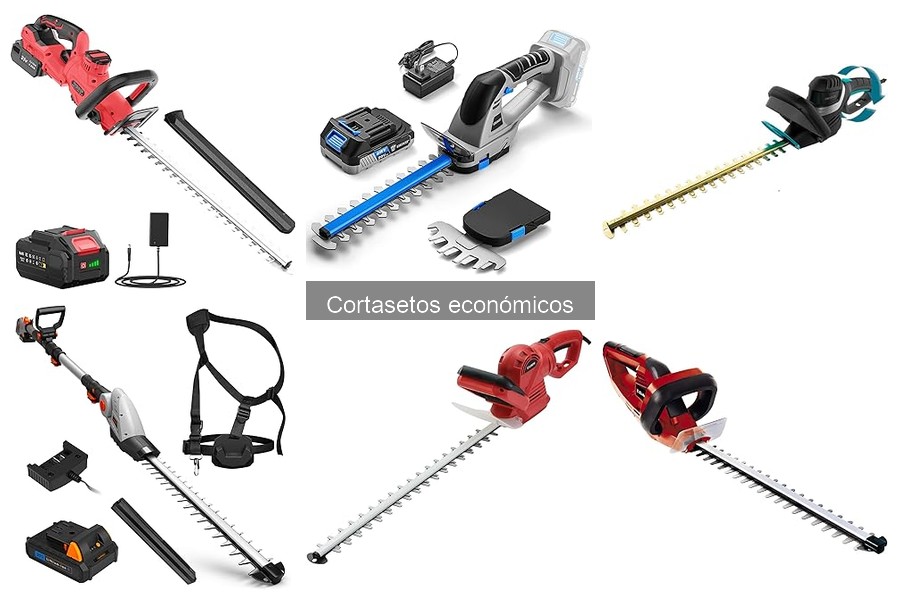 Cómo elegir el mejor cortasetos económico para tu jardín