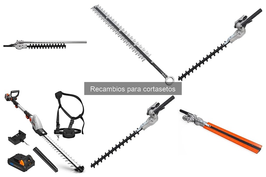 Cómo elegir el recambio adecuado para tu cortasetos