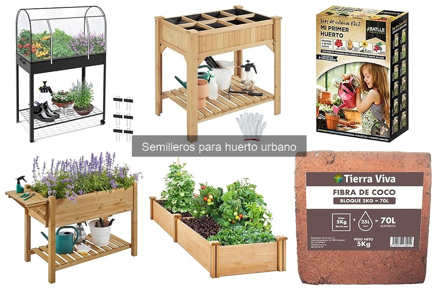 Cómo elegir el semillero perfecto para tu huerto urbano
