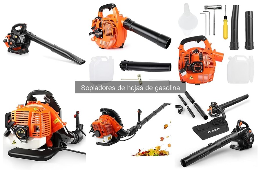 Cómo elegir el soplador de hojas de gasolina ideal