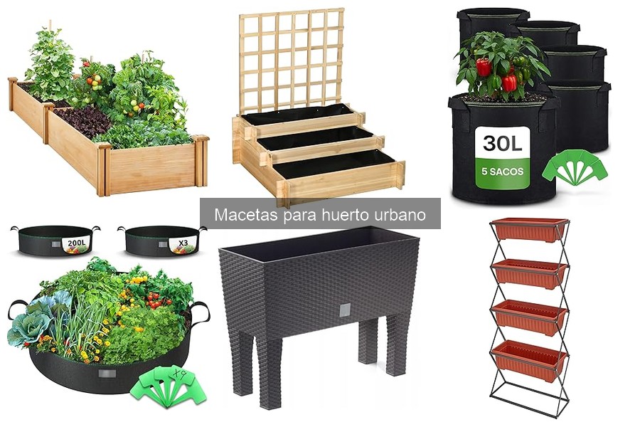 Cómo elegir la maceta ideal para tu huerto urbano
