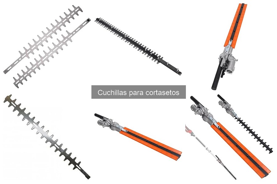 Cómo Elegir la Mejor Cuchilla para Cortasetos