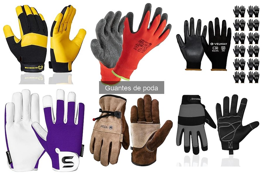 Cómo elegir los guantes de poda para tus plantas