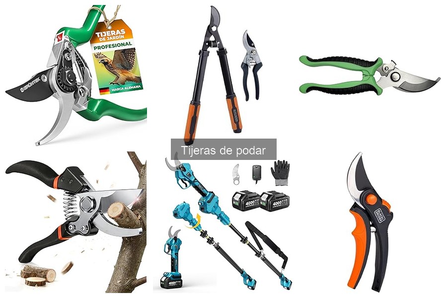 Cómo elegir tijeras de podar adecuadas para tu jardín