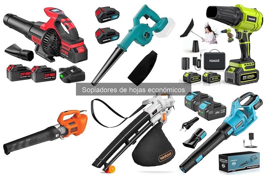 Cómo elegir un soplador de hojas económico para tu jardín