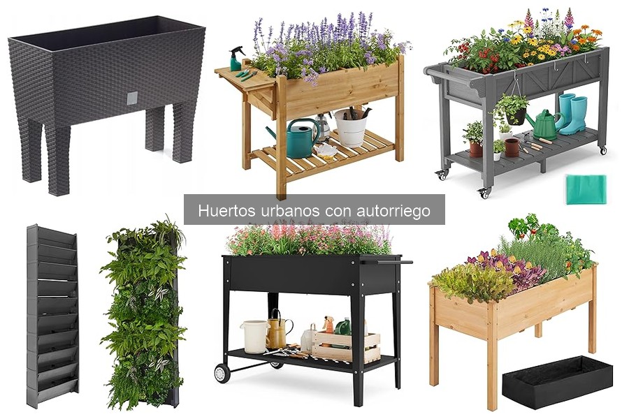Cómo Instalar un Sistema de Autorriego en tu Huerto Urbano