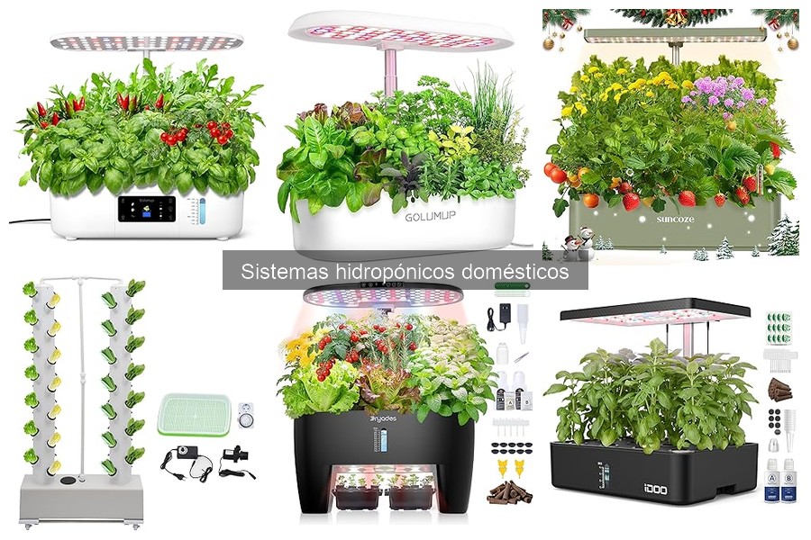 Cómo Instalar un Sistema Hidropónico en Casa Fácilmente