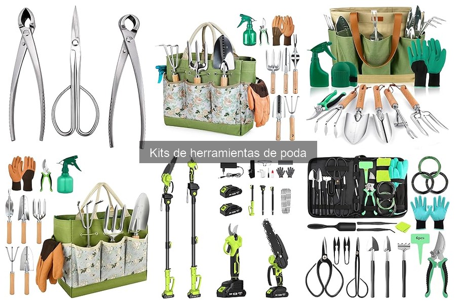 Cómo Mantener en Buen Estado tu Kit de Herramientas de Poda