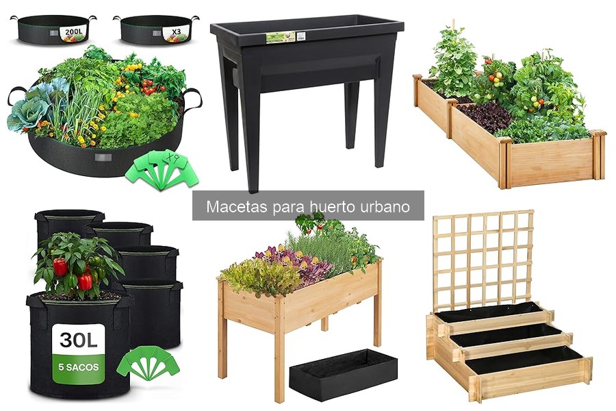 Cómo mantener macetas para huertos urbanos en óptimas condiciones
