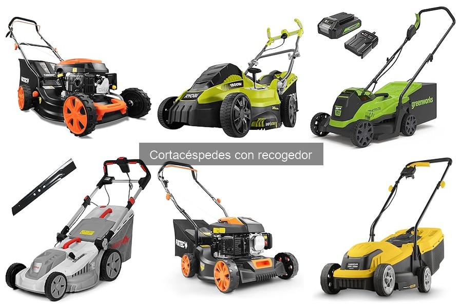 Cómo mantener tu cortacésped con recogedor en perfectas condiciones
