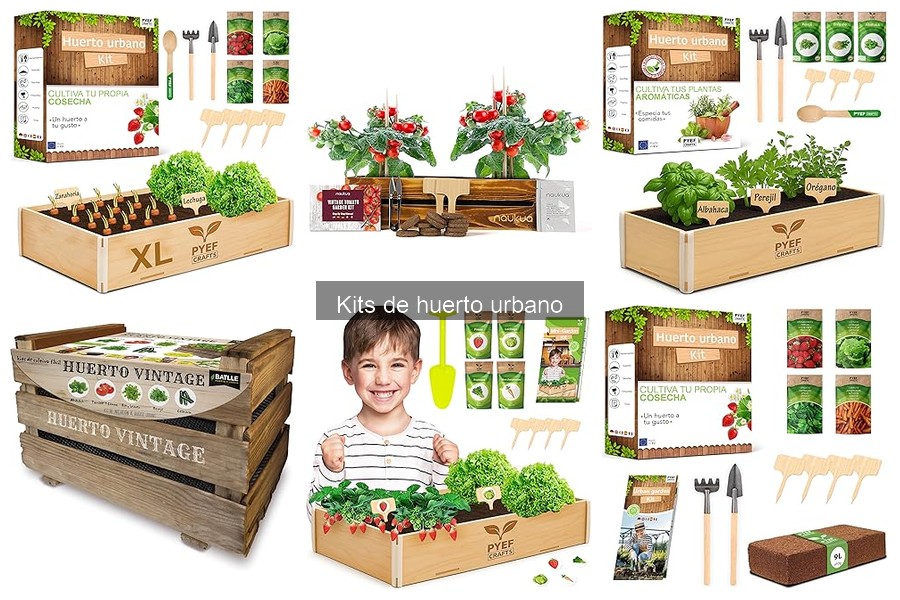 Cómo Montar un Kit de Huerto Urbano: Guía Práctica