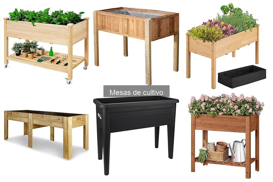 Cómo montar una mesa de cultivo: instrucciones fáciles