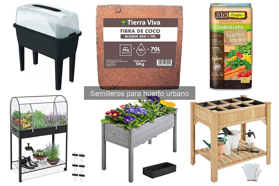 Cómo Usar Semilleros para Huerto Urbano de Forma Efectiva