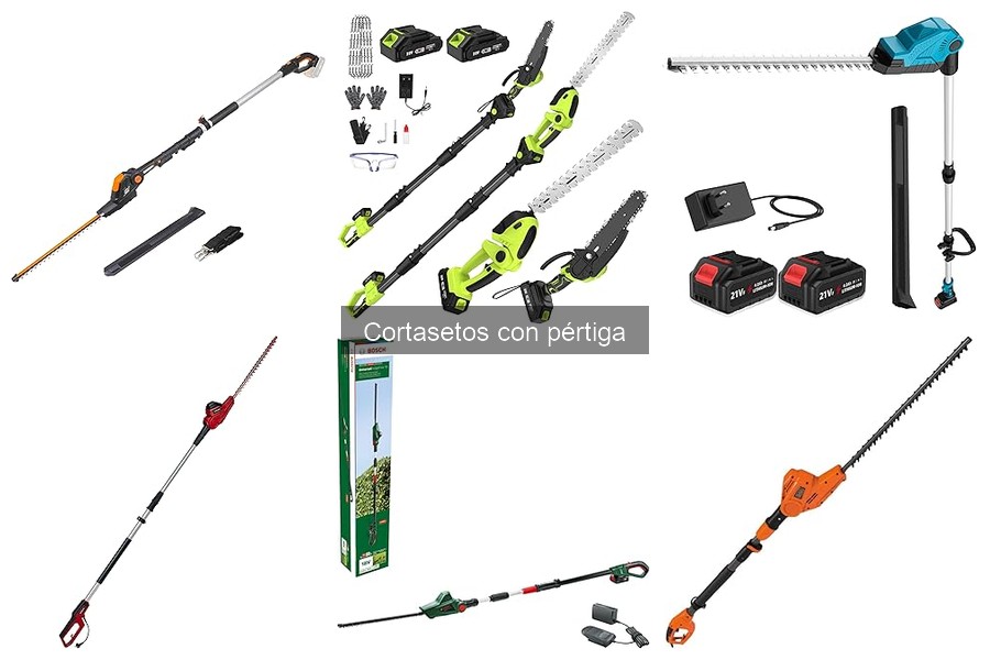 Cómo Usar un Cortasetos con Pértiga: Guía Práctica
