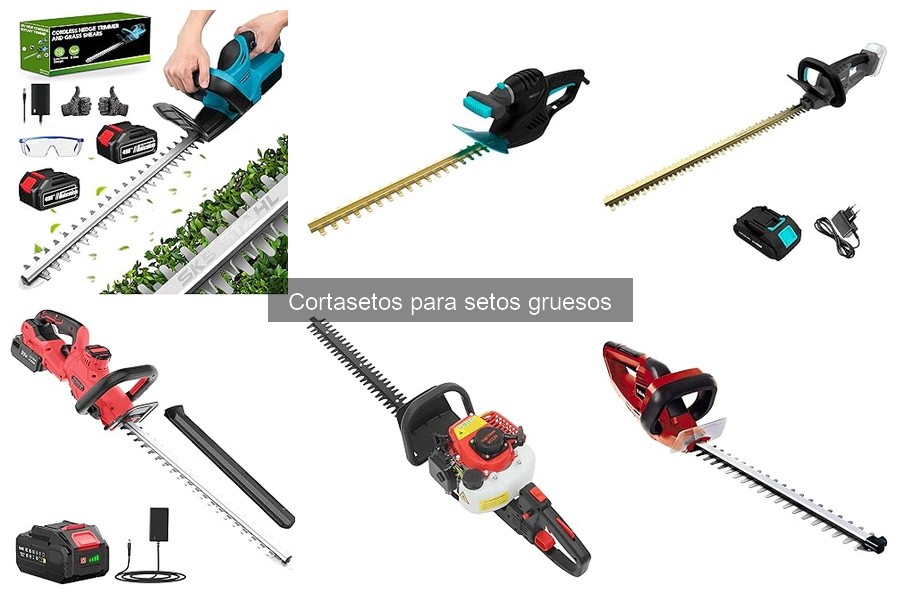 Cómo usar un cortasetos de forma segura y eficaz