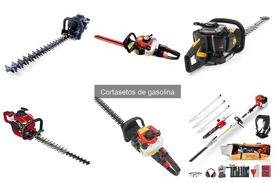 Cómo usar un cortasetos de gasolina: instrucciones y consejos