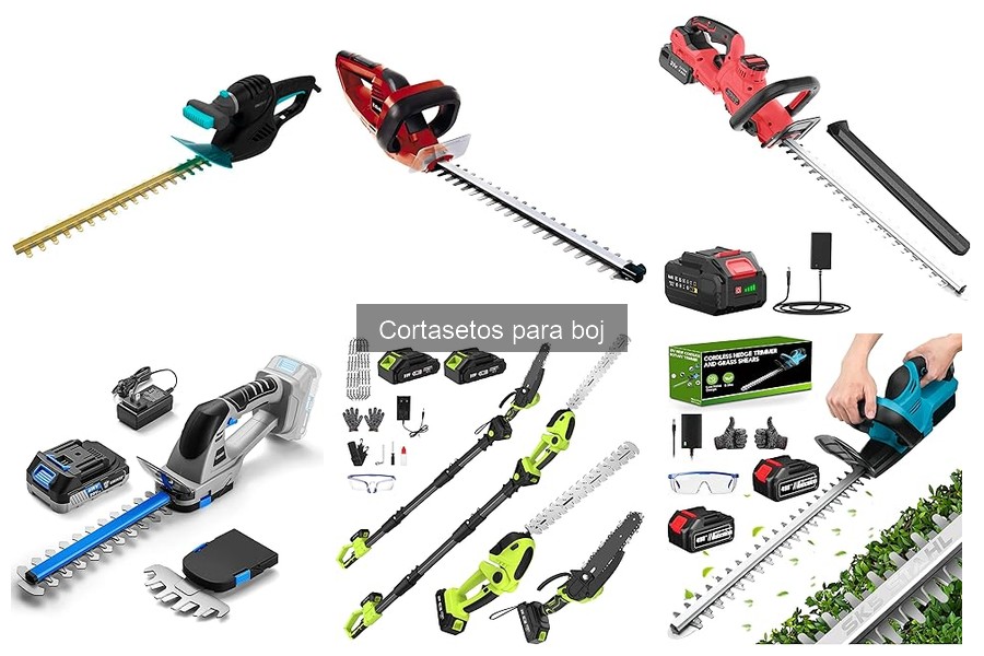 Cómo Usar un Cortasetos para Boj: Consejos Prácticos